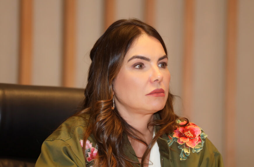Paula Belmonte cobra mais tempo para discutir projeto dos quiosques